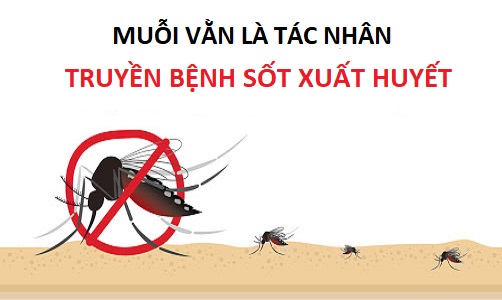 Muỗi vằn là tác nhân truyền bệnh sốt xuất huyết