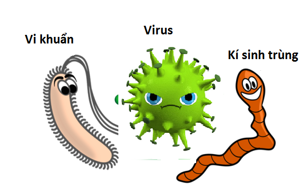 Vi khuẩn, virus là nguyên nhân gây nhiệt miệng