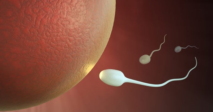 Tinh trùng loãng có thụ thai và có con được không ?