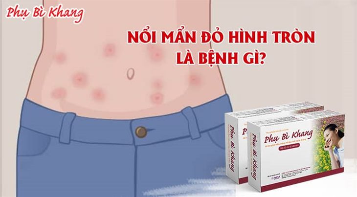 Hình bầu dục màu đỏ png  PNGEgg