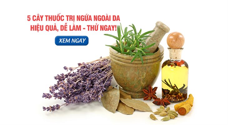 Những cây thuốc trị ngứa ngoài da đều khá thân thuộc