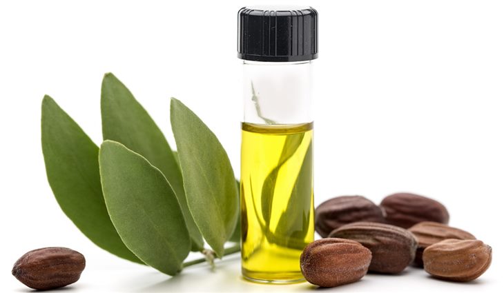 Sử dụng hỗn hợp dầu dừa và dầu jojoba là một cách trị bệnh chàm