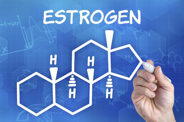 Cường estrogen – Yếu tố hình thành nhân xơ tử cung