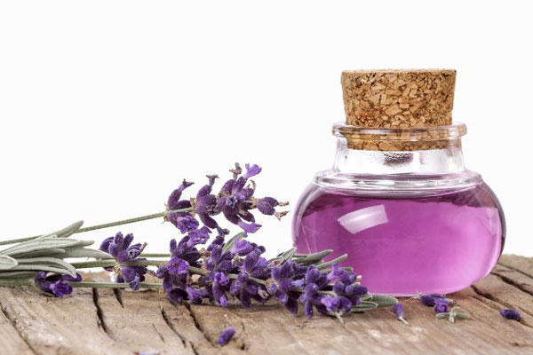 Tinh dầu hoa oải hương giúp cải thiện tình trạng đau bụng kinh