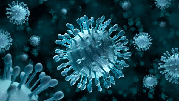   Varicella zoster - Virus gây bệnh thủy đậu