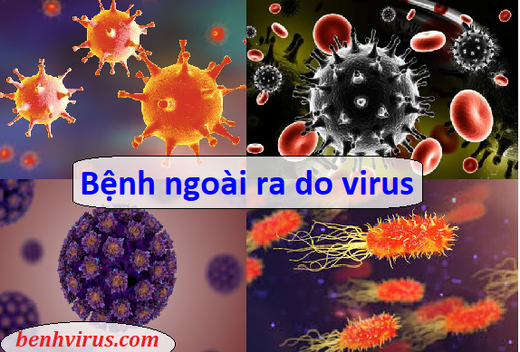   Hình ảnh virus gây bệnh ngoài da