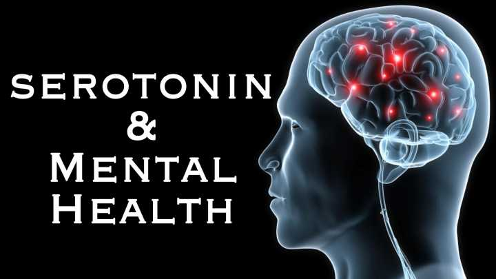 Tăng lượng serotonin là cơ chế của  thuốc ức chế tái hấp thu serotonin có chọn lọc