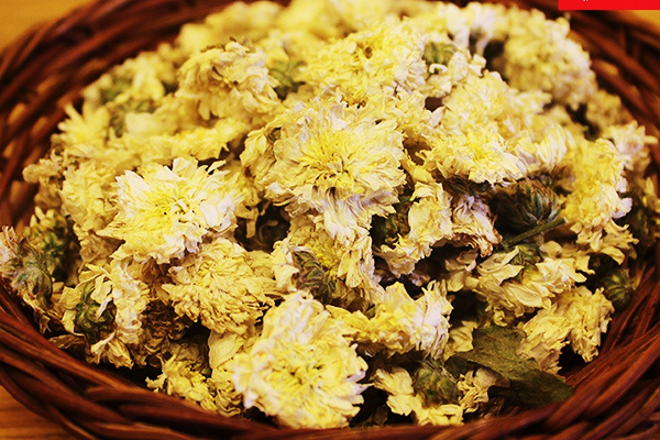 Hoa cúc khô không chỉ giúp thanh nhiệt mà còn cải thiện viêm da tiết bã nhờn hiệu quả