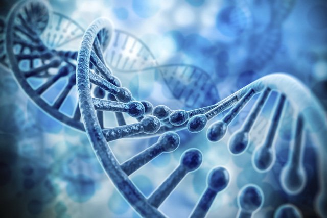 Di truyền là một trong những yếu tố dẫn đến bệnh viêm da dị ứng ở trẻ