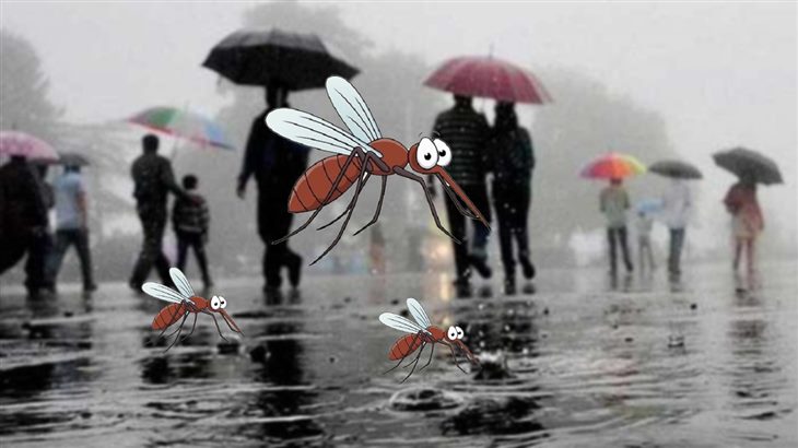    Muỗi sinh sôi nhiều vào mùa mưa và gây ra dịch sốt xuất huyết