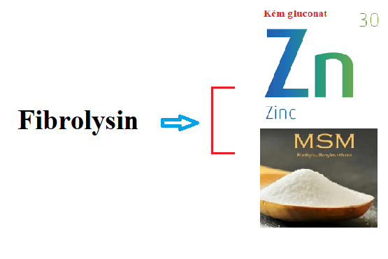   Fibrolysin là thành phần chính có trong sản phẩm Bảo Phế Vương