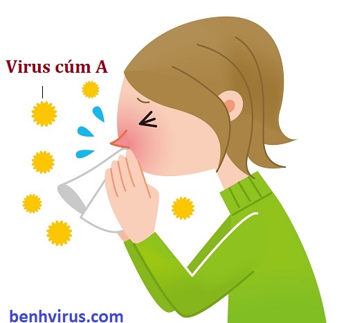    Cúm A có thể “hỏi thăm” bạn khi sức đề kháng kém, hệ miễn dịch non yếu