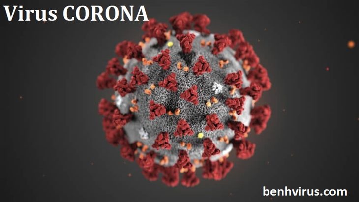    Virus corona – bệnh viêm đường hô hấp cấp nguy hiểm