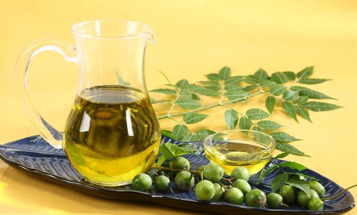 Tinh dầu hạt neem giúp nhanh liền sẹo khi bị viêm da dị ứng