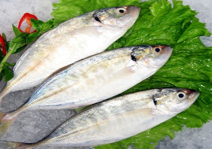   Omega-3 từ cá giúp cải thiện triệu chứng bệnh chàm da hiệu quả