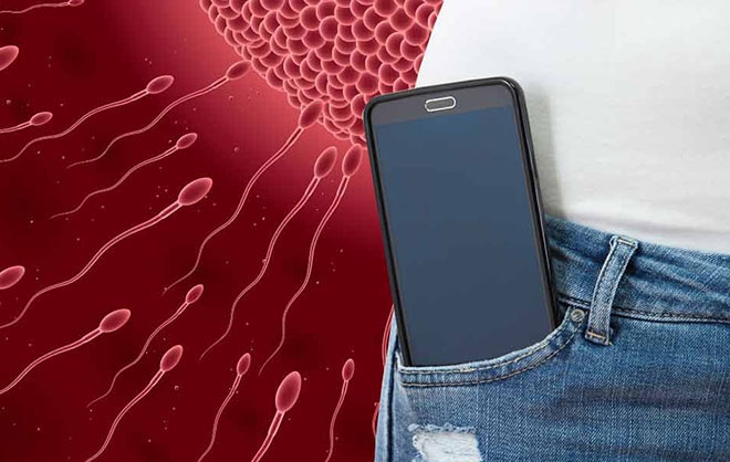 Không bỏ điện thoại ở túi quần tránh nguy cơ bị tinh trùng yếu