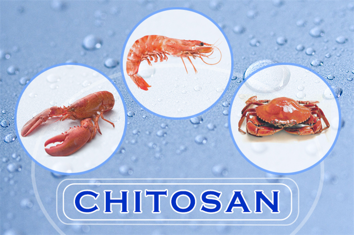  Chitosan giúp chống viêm, tốt cho người bị viêm da cơ địa (chàm, eczema)