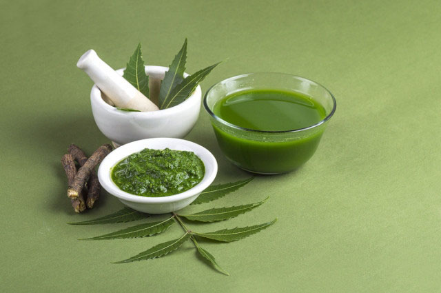 Lá neem giúp các tổn thương do bệnh zona gây ra nhanh lành