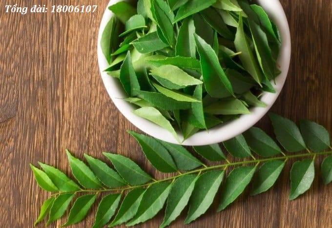Lá neem giúp giảm ngứa, làm lành nhanh các tổn thương trên da