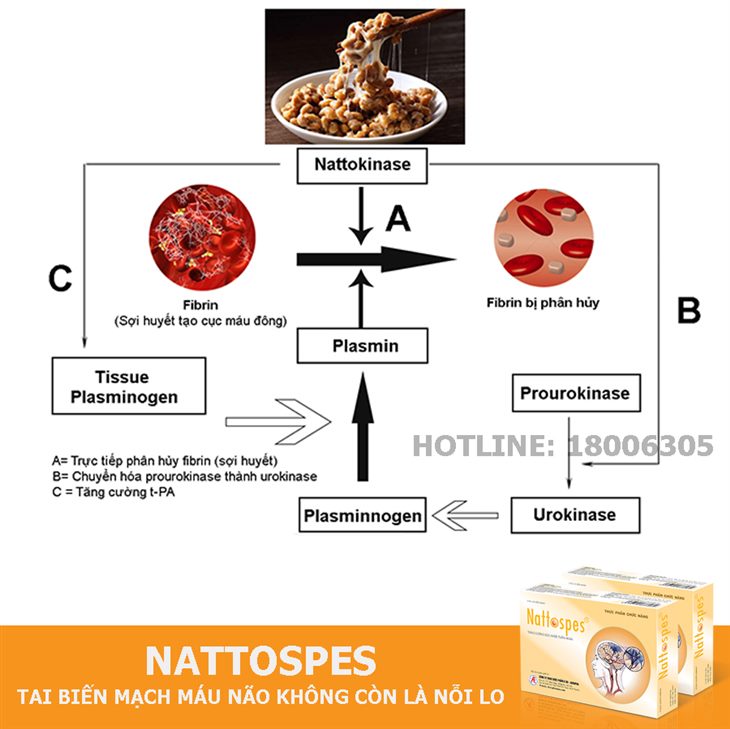 Nattokinase giúp phân hủy fibrin, làm tan cục máu đông