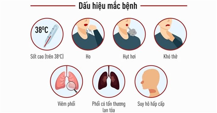   Các triệu chứng thường gặp khi bị viêm phổi