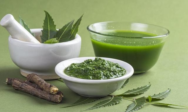 Dịch chiết neem được nghiên cứu có tác dụng chống viêm, kháng khuẩn rất tốt