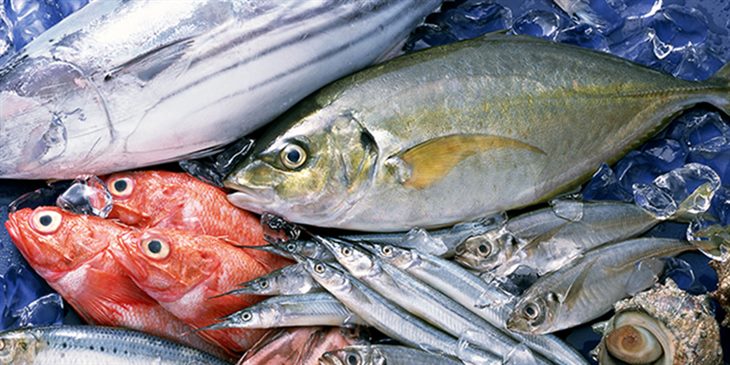    Cá biển là thực phẩm tốt cho người bị suy giáp