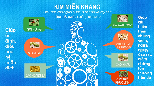 Tác dụng của Kim Miễn Khang đối với bệnh vẩy nến