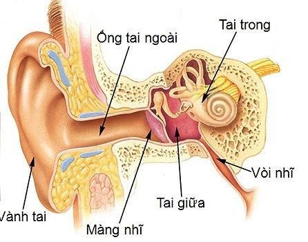 Viêm tai trong là tình trạng nhiễm trùng các bộ phận ở tai trong