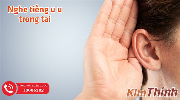 Nghe tiếng u u trong tai là biểu hiện của ù tai