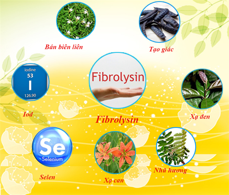 Sản phẩm chứa thành phần chính là Fibrolysin giúp phòng ngừa bệnh viêm phế quản hiệu quả