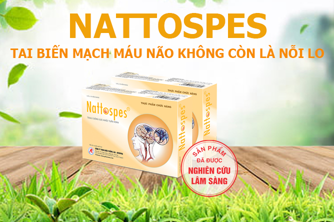Nattospes – Giải pháp hàng đầu từ thảo dược cho người bị tai biến