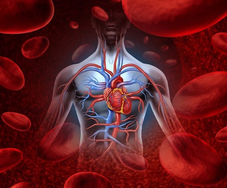 Bệnh tim mạch là những yếu tố nguy cơ hàng đầu của đột quỵ