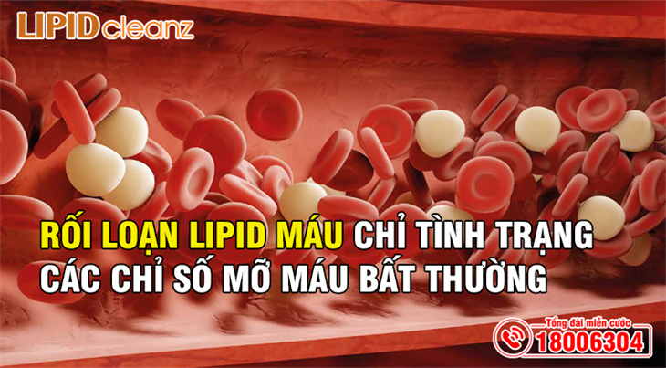 Rối loạn lipid máu chỉ tình trạng các chỉ số mỡ máu bất thường
