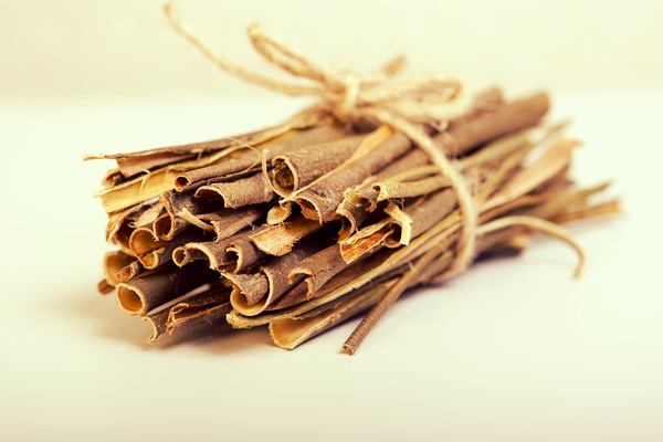 Chiết xuất vỏ cây liễu giúp hỗ trợ giảm đau an toàn, hiệu quả