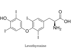    Levothyroxine là thuốc được sử dụng trong điều trị viêm tuyến giáp Hashimoto