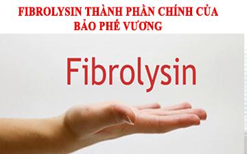   Fibrolysin giúp chống xơ hóa, tái cấu trúc đường thở, hỗ trợ giảm ho hiệu quả