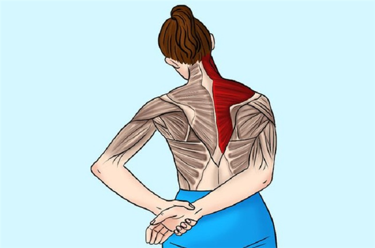 Bài tập căng duỗi cơ hình thang chữa đau nhức khớp vai