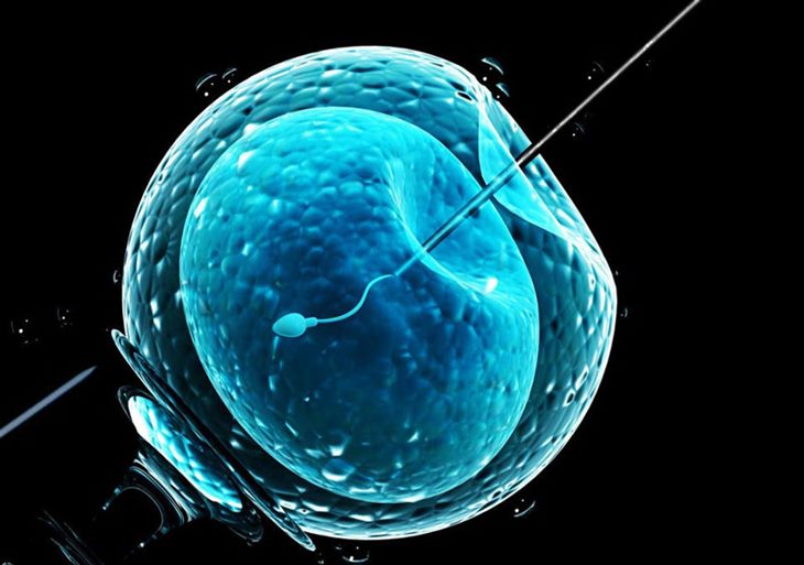 Trứng và tinh trùng phải khỏe thì làm IVF mới dễ thành công