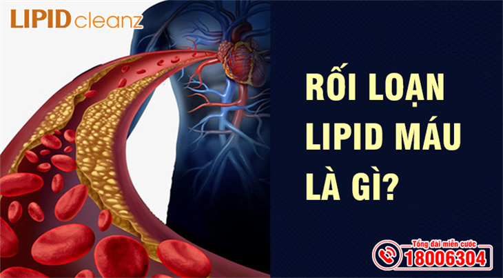 Rối loạn lipid máu là gì?