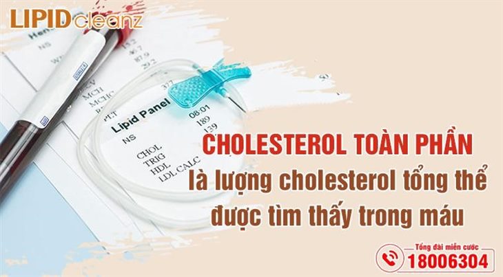 Cholesterol toàn phần đóng vai trò quan trọng đối với sức khỏe