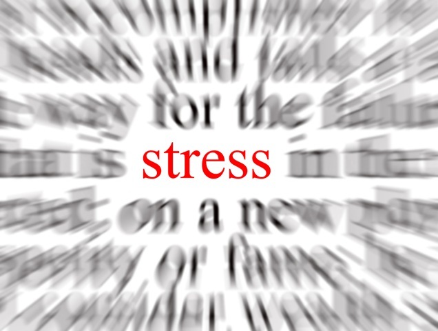 Stress và suy giảm trí nhớ