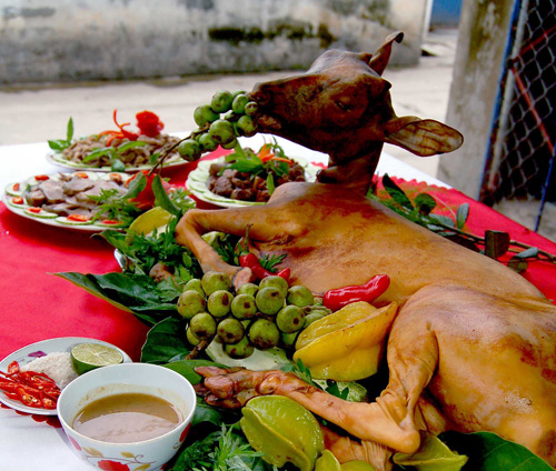 Ăn Thịt Dê Có Tốt Không? Khám Phá Lợi Ích và Những Điều Cần Biết