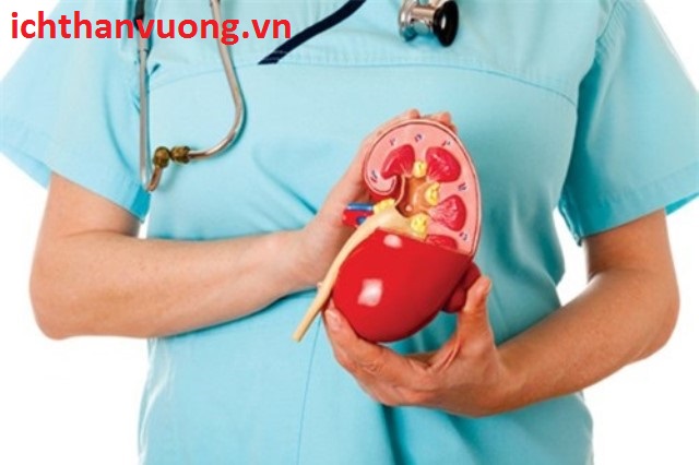 Viêm cầu thận mạn có thể dẫn đến suy thận không?