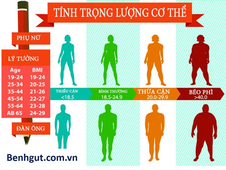 Bạn đã biết chỉ số khối cơ thể (BMI) liên quan thế nào đến bệnh gút?