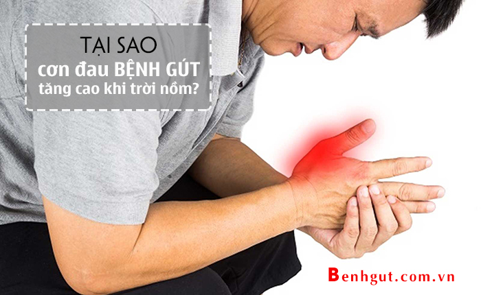 Tại sao trời nồm ẩm khiến GÚT như được "chắp thêm cánh"?