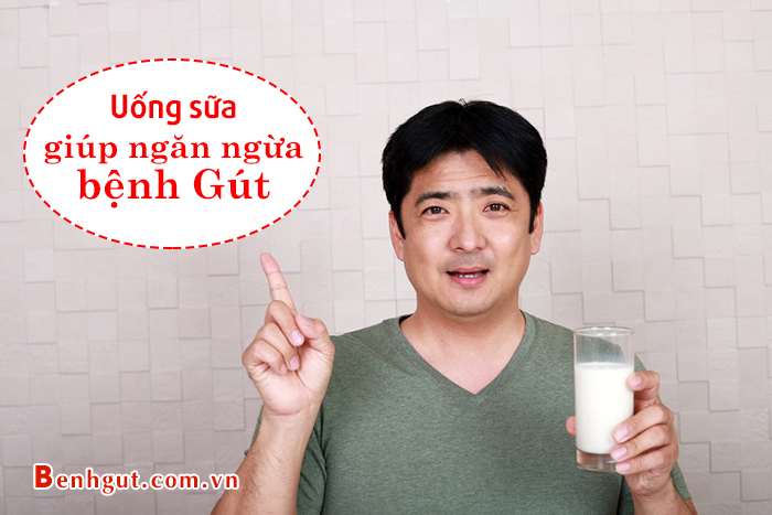 KHÓ TIN nhưng SỰ THỰC 100%: Uống sữa ít béo mỗi ngày giúp ngăn ngừa nguy cơ bệnh GÚT 