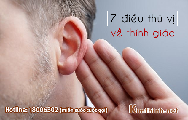 7 điều thú vị về THÍNH GIÁC không phải ai cũng biết!