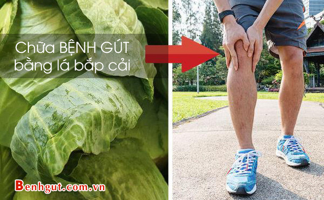 Cơn đau GOUT tấn công, đắp ngay lá bắp cải lên khớp và đợi điều bất ngờ sẽ đến!