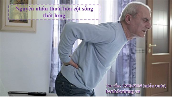 Nguyên nhân “trăm phần trăm” gây thoái hóa cột sống thắt lưng